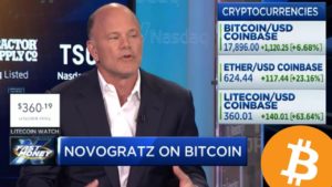 Novogratz Bitcoin 2019’dan önce 9.000 $ Kırmayacak