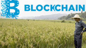 Tarımda Blockchain Teknolojisi