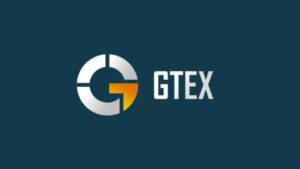 GTEX oyun platformu: merkezi olmayan Blockchain oyun ağı?
