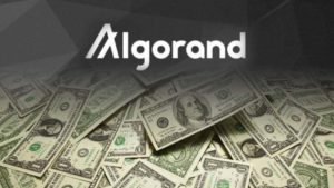 Algorand Blockchain Network Token Satışı Sonrası Piyasası 24 Milyar Dolara Buldu