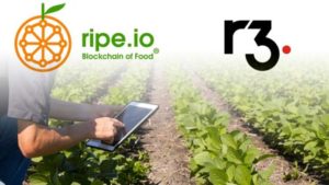R3 Microsoft Azure Blockchain İle Gıda ve Tarım Alanında İş Birliği