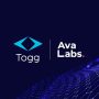 Avax TOGG İşbirliği